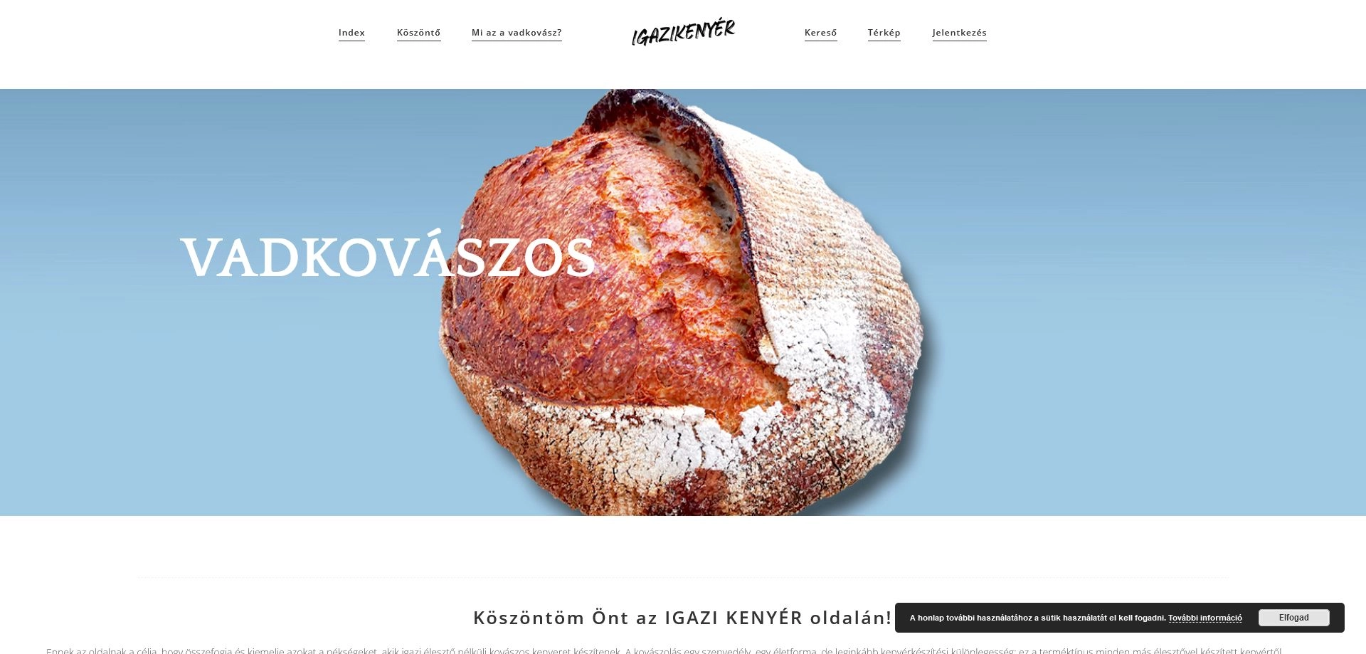Mucsi Attila web&Design